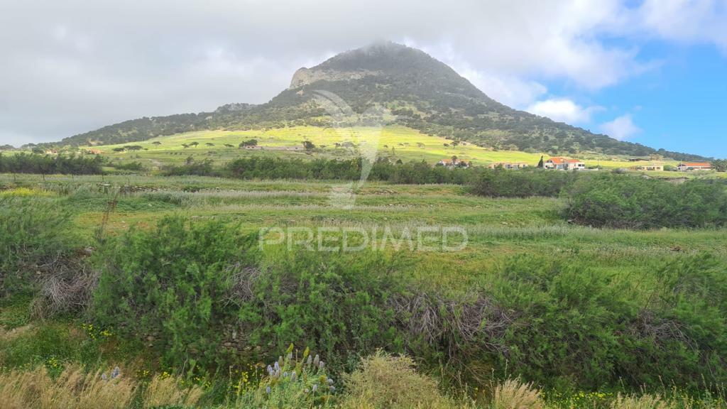 Terreno