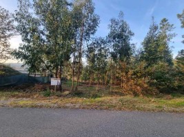 Fotografia 1 de Terreno situado em S. Jorge de Vizela