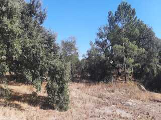 Fotografia 5 de Terreno Misto ( Urbano / Rural ) - "Pontes" Setúbal