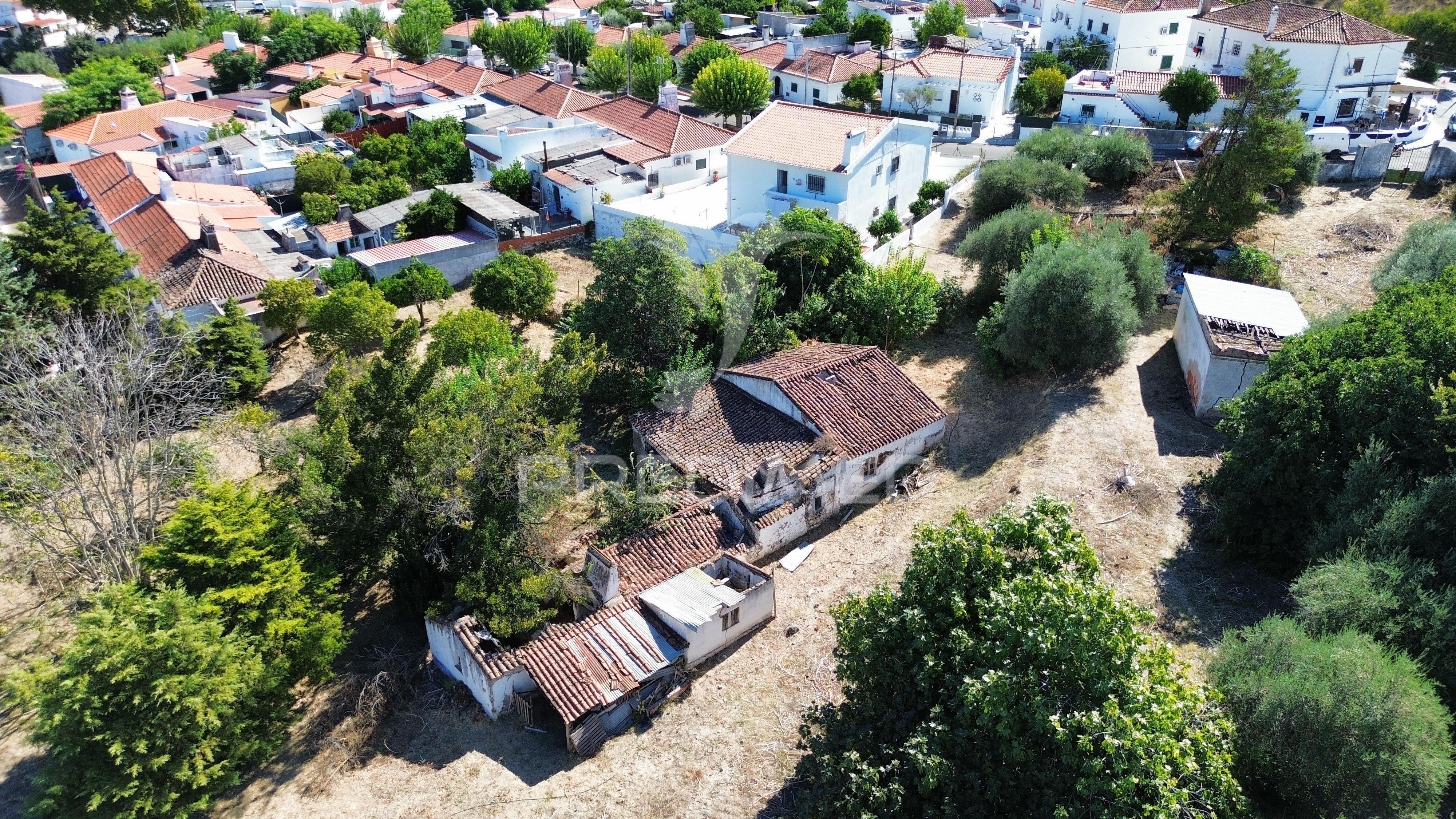 Quinta T6