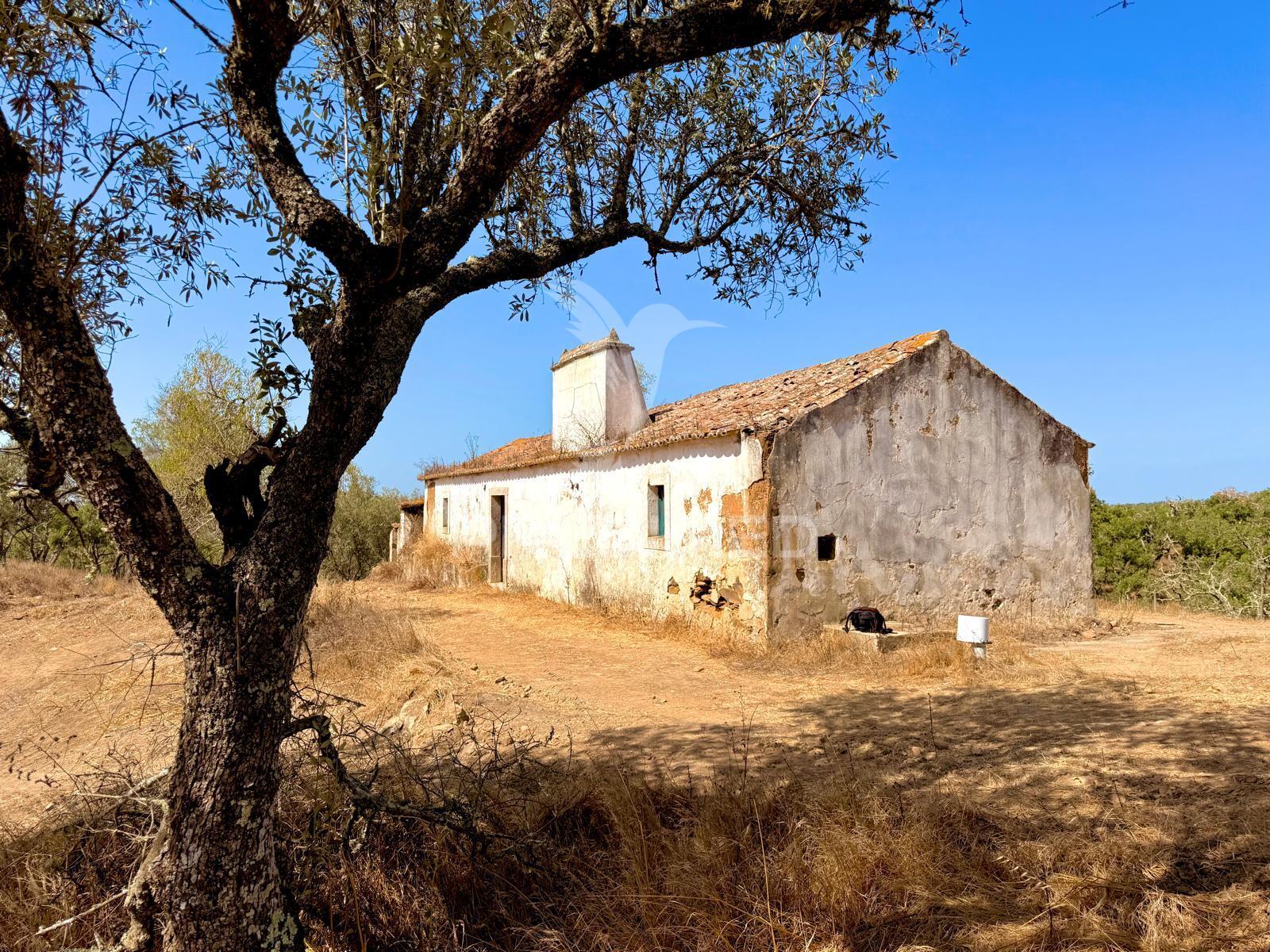 Quinta