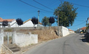Fotografia 1 de Terreno Urbano em Arneiro de Tremês, Santarém.