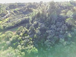 Fotografia 1 de Terreno Rústico de 18.360 m² em Arneiro das Milhariças