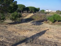 Fotografia 1 de TERRENO AVEIRAS DE CIMA - 30 MINUTOS DE LISBOA