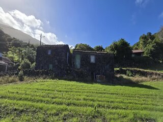 bwy2xbea0t8x1w88ktj0r.jpg