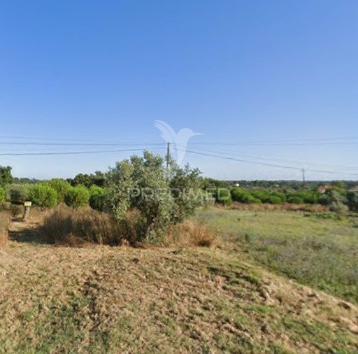 Terreno Misto