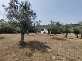 Fotografia 1 de Terreno Agrícola