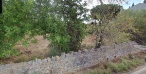 Fotografia 1 de Terreno Rustico no Farrobo São Brás de Alportel