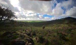 Fotografia 1 de Vende-se Herdade – 34 Hectares
