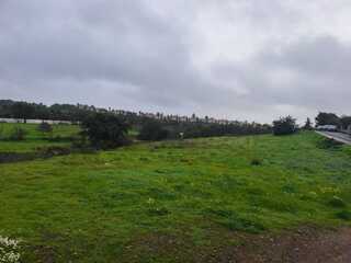 Fotografia 1 de Terreno para construçao  – Corte Martins- Monte rei, Algarve
