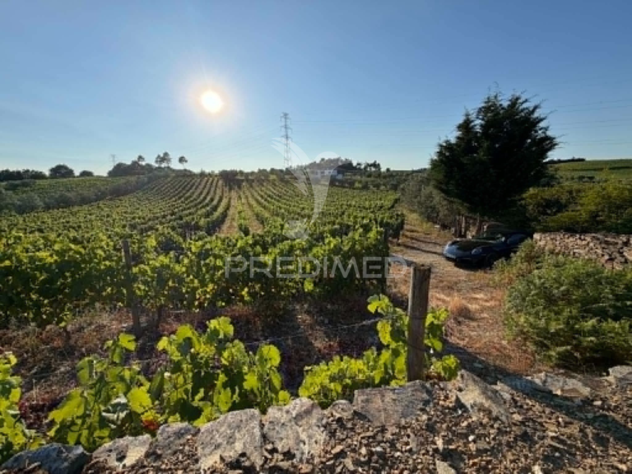 Terreno Misto