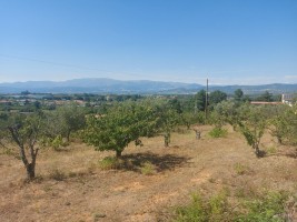 Fotografia 1 de Quinta para venda no Fundão