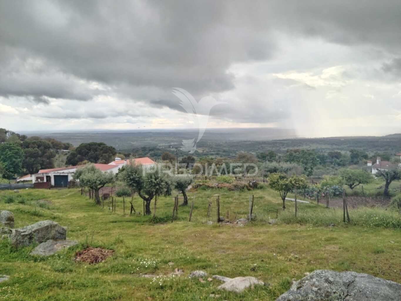 Terreno