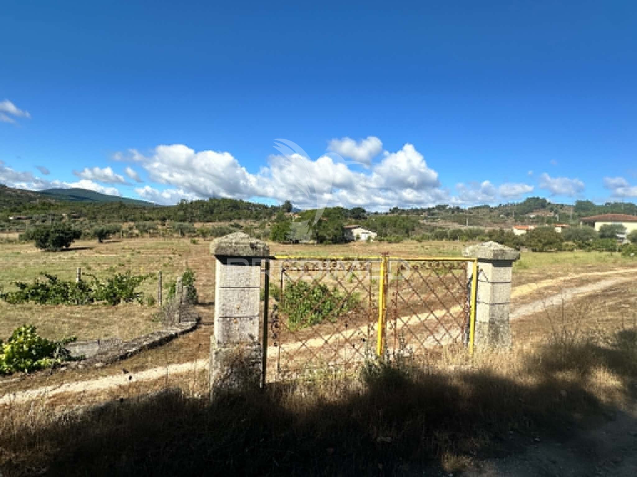 Quinta