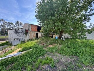 t285b939xnmn8n7tmoptl.jpg
