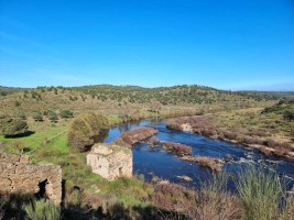 Fotografia 1 de Herdade com artigo Urbano