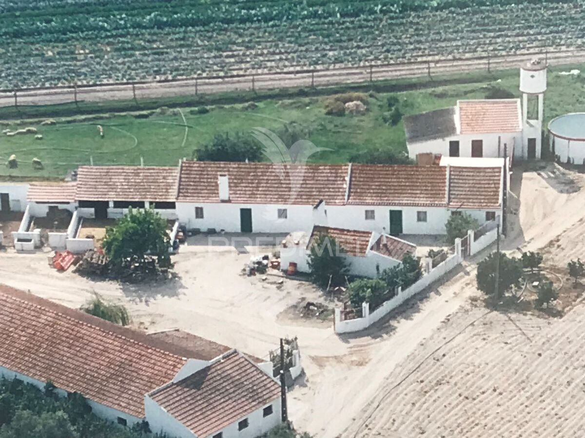 Quinta Agrícola T3