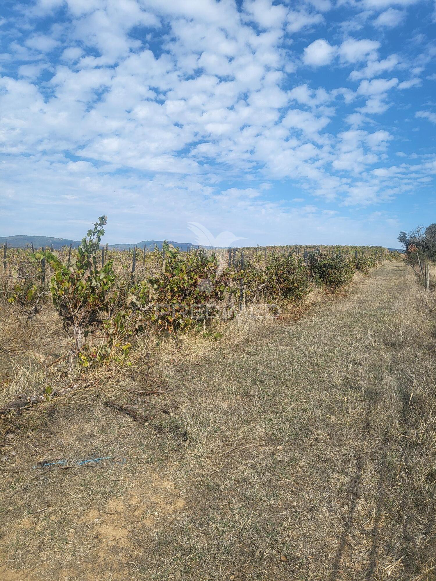 Quinta Agrícola