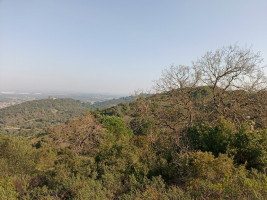 Fotografia 1 de Terreno Rustico em São Francisco da Serra