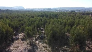 Fotografia 1 de Lote de Terreno em Palmela