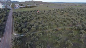 Fotografia 1 de Terreno Urbanização Carvalha Elvas