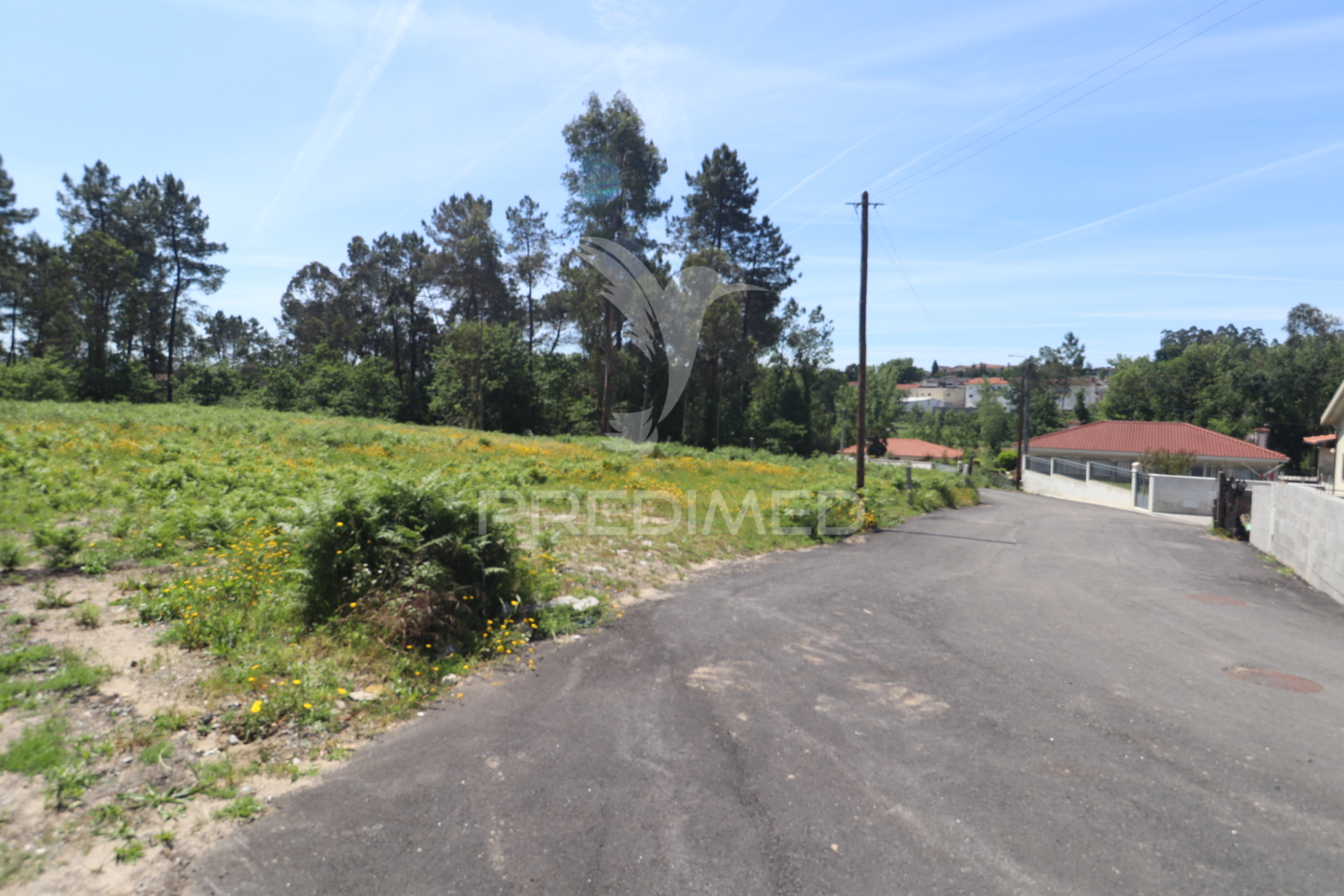 Terreno