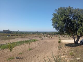 e3jbq94jfa77wwo6u6ytsb.jpg