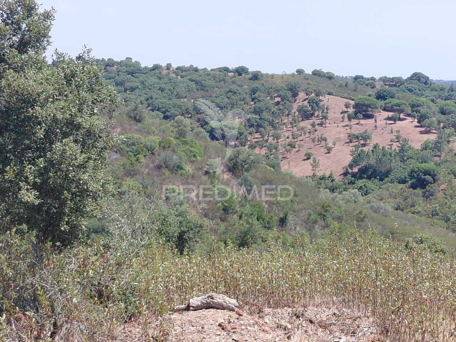 Herdade
