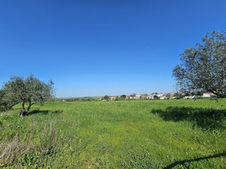 2988dv5pynyovo9s2y91v.jpg