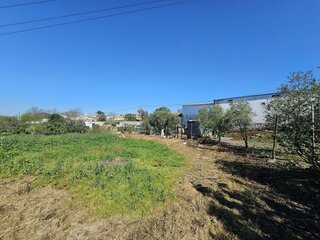 tntkm29xpbn1p7ln7423.jpg