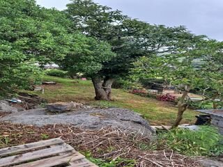 f9d63c3o2nnxbuqidcqc6e.jpg