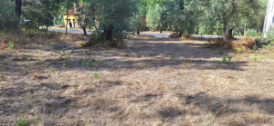 Fotografia 1 de Terreno Rústico com 6.400 m² – Matas, Caranguejeira