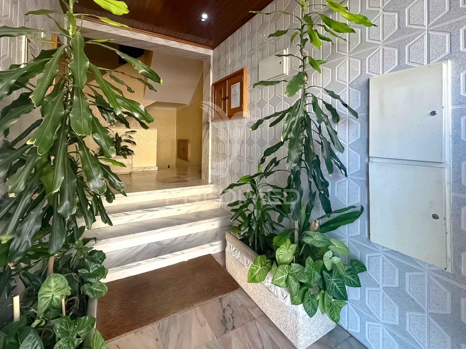 Apartamento T3
