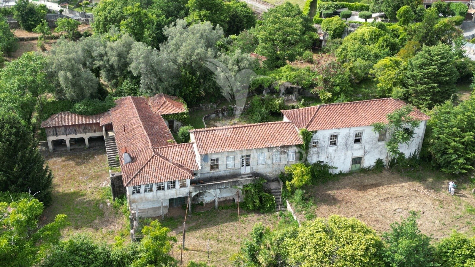 Quinta T5