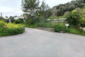 Fotografia 1 de Terreno urbano, localizado em Torres Novas