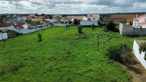 Fotografia 1 de Terreno urbano localizado em Vale de Figueira / Santarém
