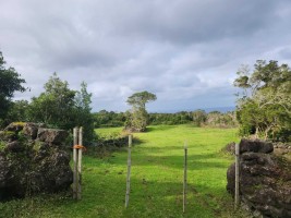 Fotografia 1 de Terreno com pastagem nas Bandeiras