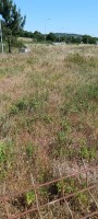 Fotografia 1 de lote para construção