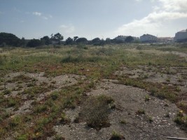 Fotografia 1 de Terreno Urbano com 20.877 m² de Potencial Construtivo na Figueira da Foz – Localização Estratégica