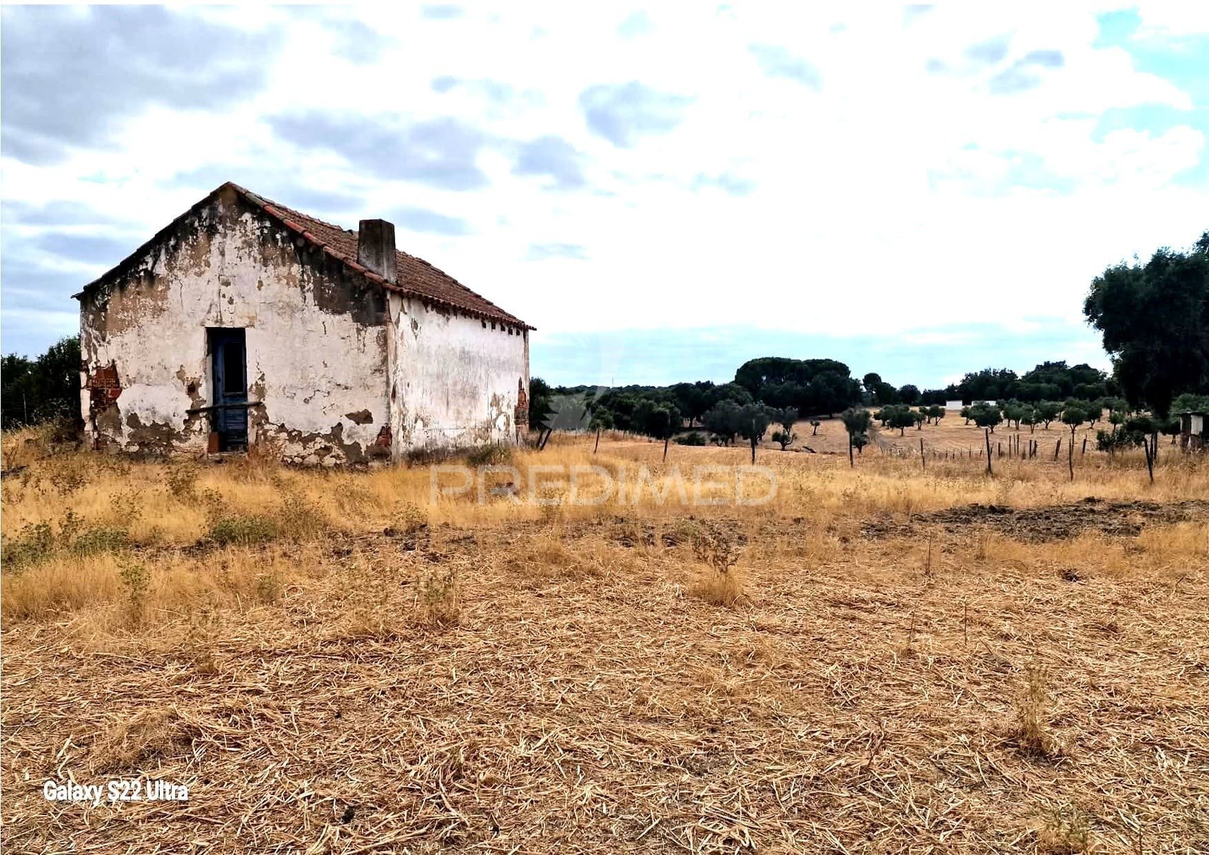 Terreno