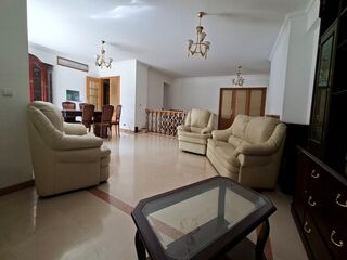 iviuajo7rax0557a37n5h.jpg