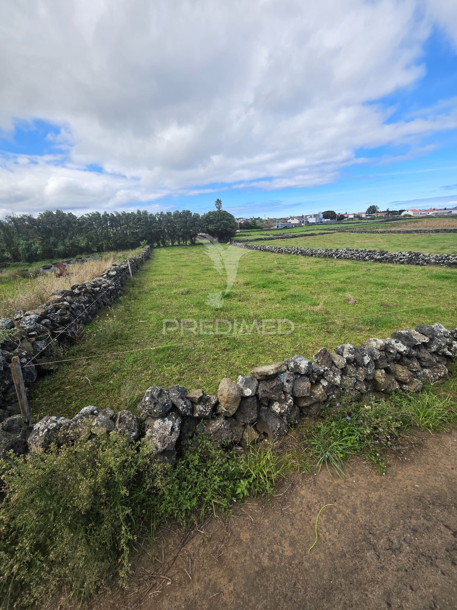 Terreno