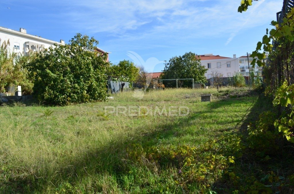 Terreno
