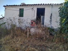 Fotografia 1 de Quinta