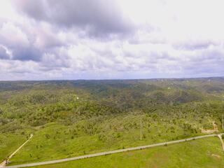 Grandola / Terreno Rustico com 8.5 hectares