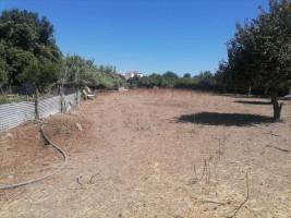 Fotografia 1 de Terreno