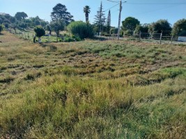 Fotografia 1 de Terreno Urbano na entrada Principal de Torres Novas