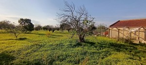 Fotografia 1 de Terreno Rustico de 7.320m2 em Cabanas, Palmela