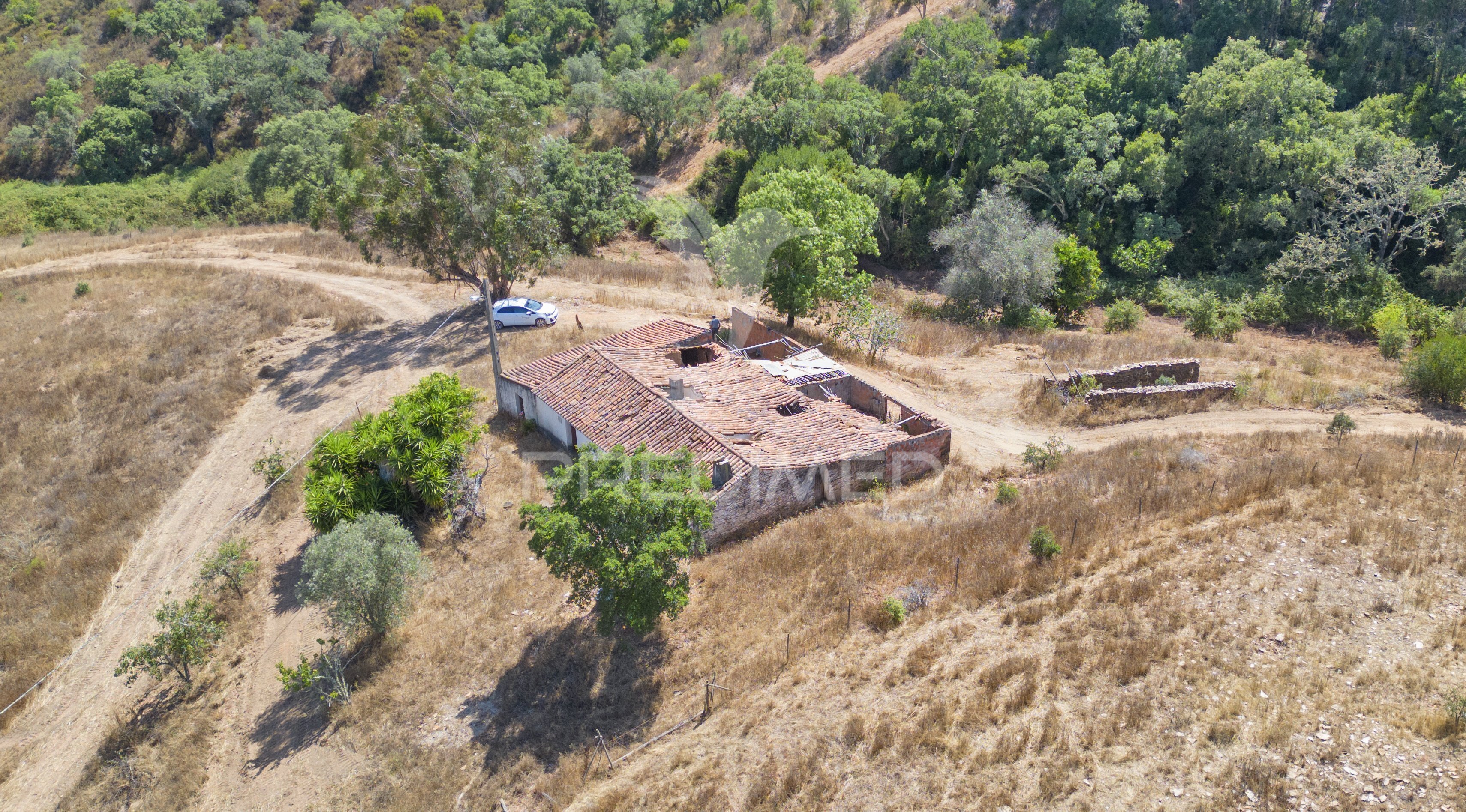 Quinta T3