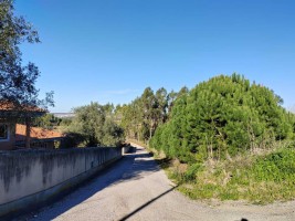 Fotografia 1 de Terreno p/ Construção com 6480m2